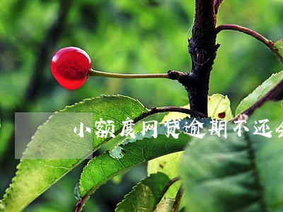 小额度网贷逾期不还会坐牢吗 小额度网贷逾期不还会坐牢吗