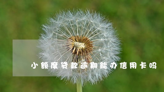 小额度贷款逾期能办信用卡吗 小额度贷款逾期能办信用卡吗