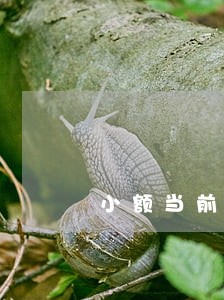 小额当前逾期能贷款吗 小额当前逾期能贷款吗