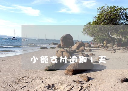 小额支付逾期1天 小额支付逾期1天