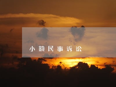 小额民事诉讼 小额民事诉讼