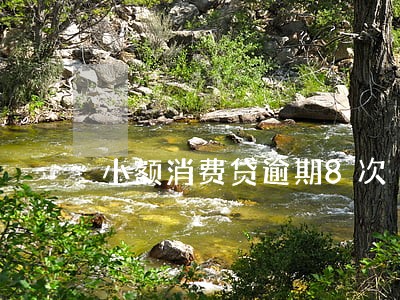 小额消费贷逾期8次 小额消费贷逾期8次