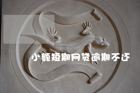 小额短期网贷逾期不还