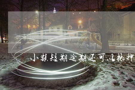 小额短期逾期还可以抵押贷款吗 小额短期逾期还可以抵押贷款吗