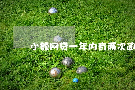 小额网贷一年内有两次逾期