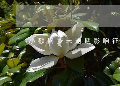 小额网贷未逾期影响征信吗 小额网贷未逾期影响征信吗