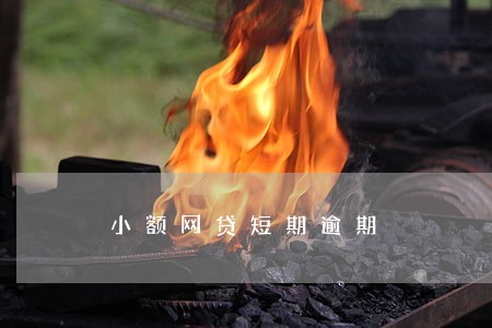 小额网贷短期逾期 小额网贷短期逾期