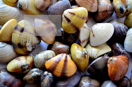 小额网贷逾期10年 小额网贷逾期10年