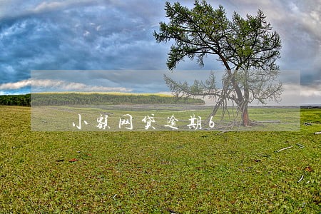 小额网贷逾期6