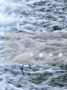 小额网贷逾期一星期 小额网贷逾期一星期
