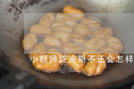 小额网贷逾期不还会怎样