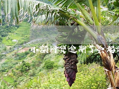 小额网贷逾期了会起诉嘛 小额网贷逾期了会起诉嘛