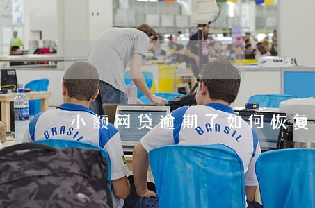 小额网贷逾期了如何恢复征信 小额网贷逾期了如何恢复征信