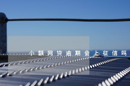 小额网贷逾期会上征信吗