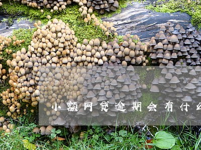 小额网贷逾期会有什么后果 小额网贷逾期会有什么后果