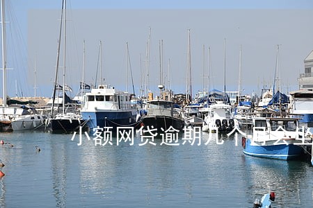 小额网贷逾期几个月会坐牢 小额网贷逾期几个月会坐牢