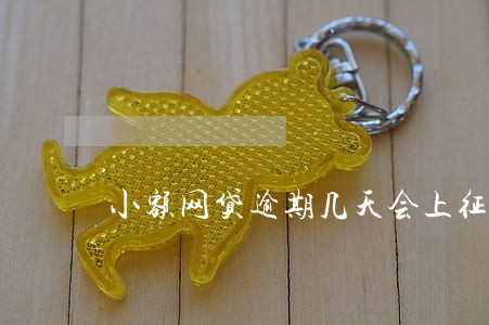 小额网贷逾期几天会上征信 小额网贷逾期几天会上征信