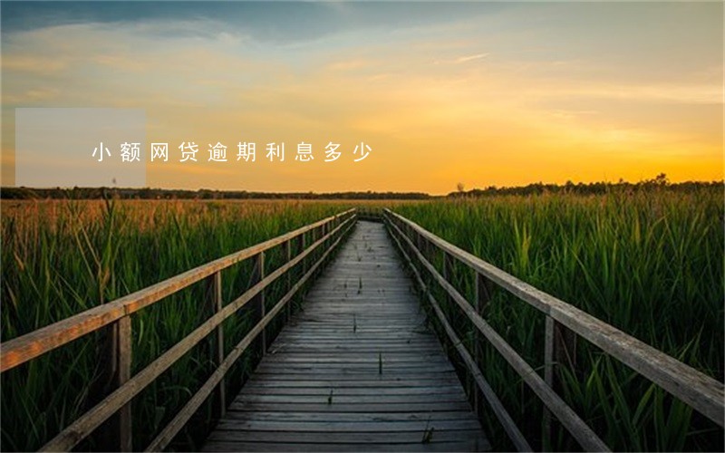 小额网贷逾期利息多少 小额网贷逾期利息多少