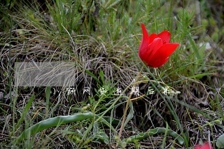 小额网贷逾期后果 小额网贷逾期后果