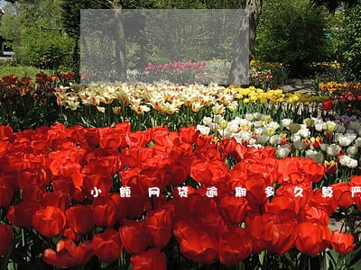 小额网贷逾期多久算严重啊 小额网贷逾期多久算严重啊