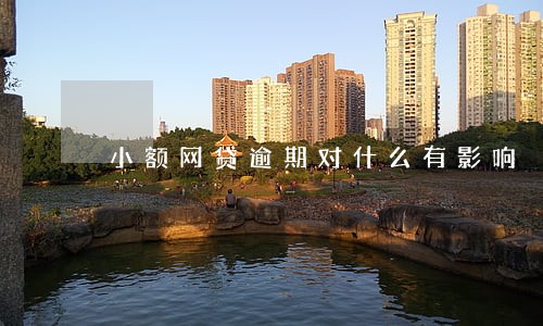 小额网贷逾期对什么有影响 小额网贷逾期对什么有影响
