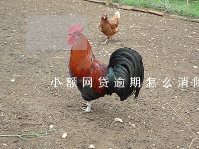 小额网贷逾期怎么消除 小额网贷逾期怎么消除