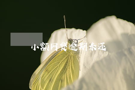 小额网贷逾期未还 小额网贷逾期未还