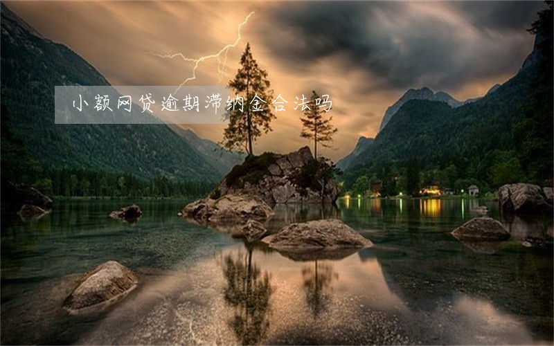 小额网贷逾期滞纳金合法吗 小额网贷逾期滞纳金合法吗