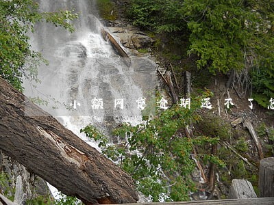 小额网贷逾期还不了怎么办 小额网贷逾期还不了怎么办