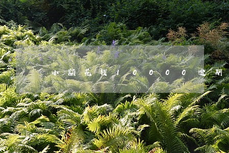 小额花钱10000逾期会罚多少 小额花钱10000逾期会罚多少