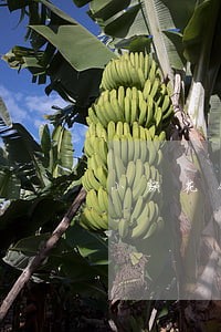 小额花钱逾期5天还进去还能用吗