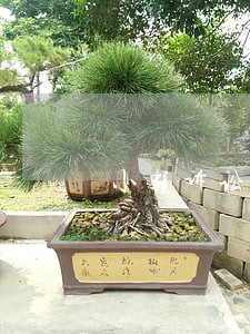 小额诉讼序非讼序一审审