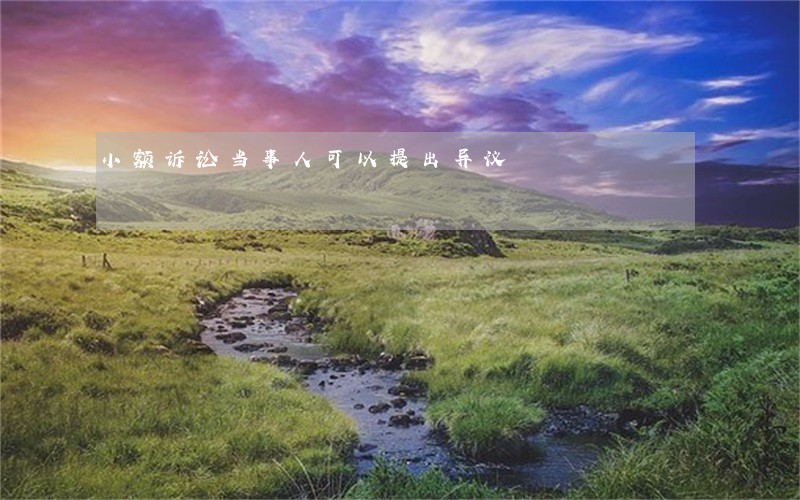 小额诉讼当事人可以提出异议 小额诉讼当事人可以提出异议