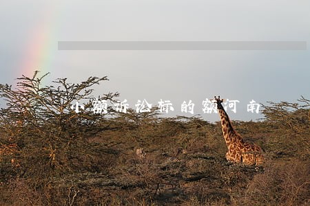 小额诉讼标的额河南
