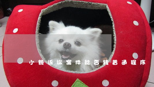 小额诉讼案件能否转普通程序 小额诉讼案件能否转普通程序