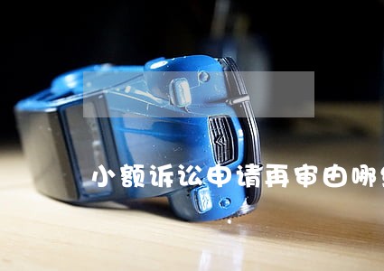 小额诉讼申请再审由哪级法院受理 小额诉讼申请再审由哪级法院受理