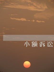 小额诉讼程序出台时间