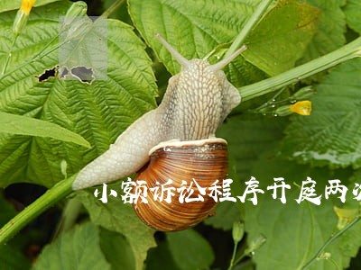小额诉讼程序开庭两次