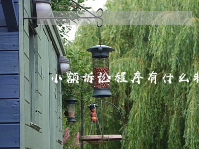 小额诉讼程序有什么特点 小额诉讼程序有什么特点