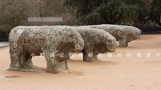 小额诉讼程序标的额的标准是什么 小额诉讼程序标的额的标准是什么