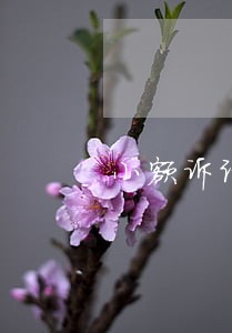 小额诉讼程序概念及其特点 小额诉讼程序概念及其特点