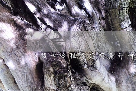 小额诉讼程序适用条件研究 小额诉讼程序适用条件研究