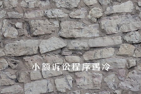 小额诉讼程序遇冷 小额诉讼程序遇冷