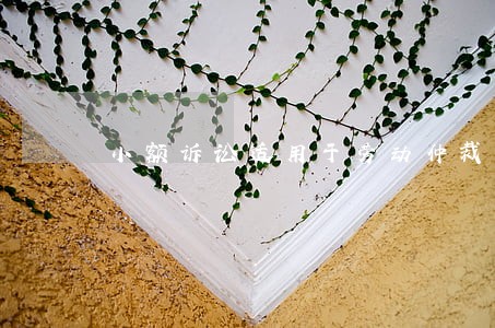 小额诉讼适用于劳动仲裁吗 小额诉讼适用于劳动仲裁吗