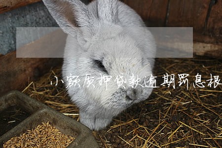 小额质押贷款逾期罚息根据 小额质押贷款逾期罚息根据