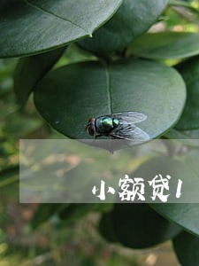 小额贷10笔逾期