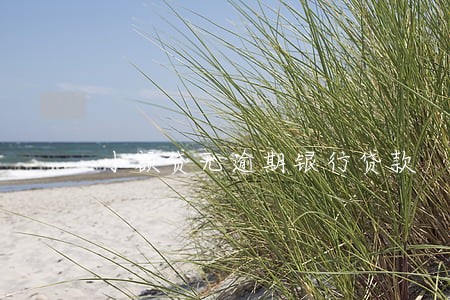小额贷无逾期银行贷款 小额贷无逾期银行贷款