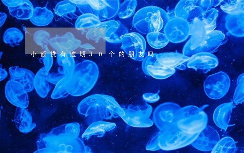 小额贷有逾期30个的朋友吗 小额贷有逾期30个的朋友吗