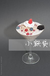 小额贷款1000逾期了