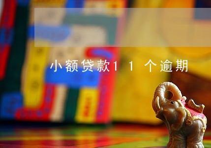 小额贷款11个逾期 小额贷款11个逾期